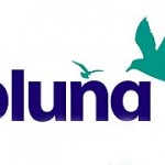 Pluna Logo